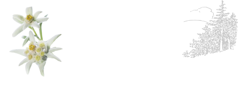 Edelweiss-Alm   Hohegeiss Harz Am Kurpark 3 - 38700 Hohegeiß